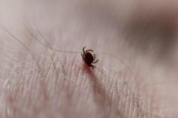 Фото 1